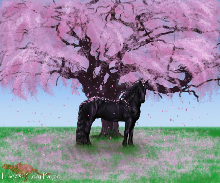 http://fc26.deviantart.com/fs11/i/2006/170/d/e/Black_Horse_and_a_Cherry_Tree_by_KalinaPeregryph.jpg
